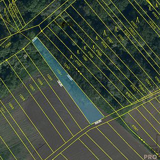 Prodej zemědělské půdy 10332 m&sup2; Petrov