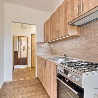 Pronájem bytu 1+1 39 m² Ostrava