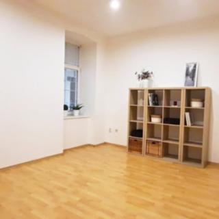 Pronájem bytu 1+kk, garsoniery 34 m² Brno