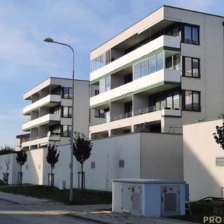 Pronájem bytu 1+kk a garsoniéry 36 m² Olomouc Povel, Loudova
