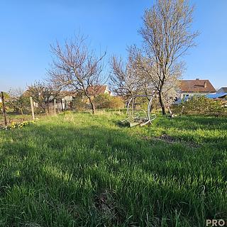 Prodej stavební parcely 655 m² Dolní Bojanovice