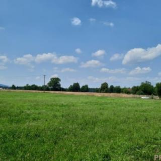 Prodej zemědělské půdy 7 527 m² Ropice