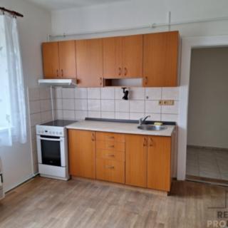 Pronájem bytu 1+1 43 m² Děčín II-Nové Město, Riegrova