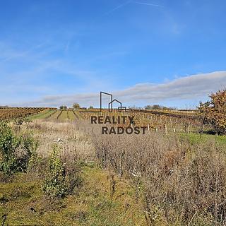 Prodej stavební parcely 814 m² Starý Poddvorov