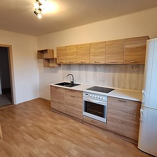 Pronájem bytu 2+1 80 m² Ústí nad Labem Ústí nad Labem-centrum, Elišky Krásnohorské
