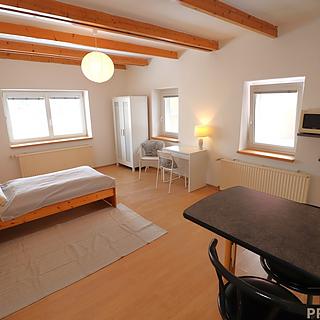 Pronájem bytu 1+kk a garsoniéry 33 m² Brno Bosonohy, Pražská