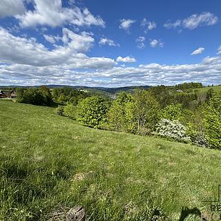 Prodej louky 571 m² Koberovy