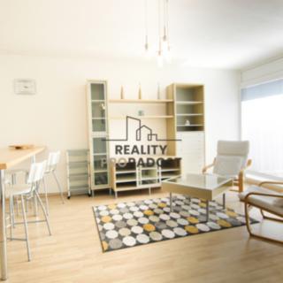 Pronájem bytu 1+kk, garsoniery 53 m² Brno