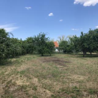 Prodej zahrady 1 611 m² Hodonín