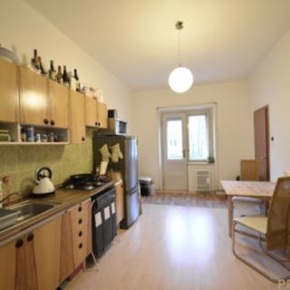 Pronájem bytu 1+1 45 m² Praha Žižkov, Biskupcova