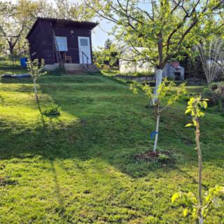 Prodej zahrady 391 m² Olomouc
