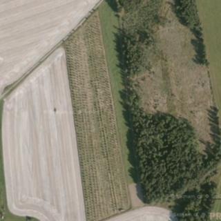Prodej zemědělské půdy 40 158 m² Odry
