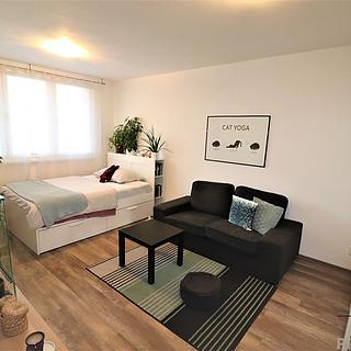 Pronájem bytu 1+1 40 m² Ostrava