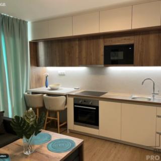 Pronájem bytu 2+kk 40 m² Nehvizdy