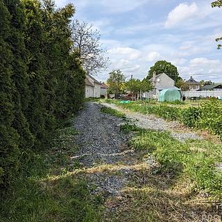 Pronájem zahrady 700 m² Komárov