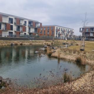 Prodej bytu 1+kk, garsoniery 31 m² Brandýs nad Labem-Stará Boleslav