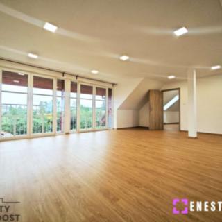 Pronájem bytu 4+kk 160 m² Tursko