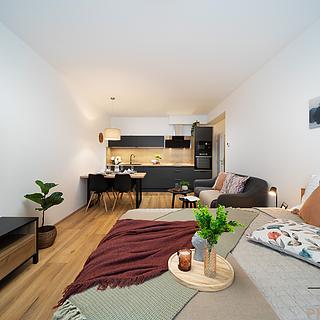 Prodej bytu 1+kk a garsoniéry 50 m² Lipno nad Vltavou