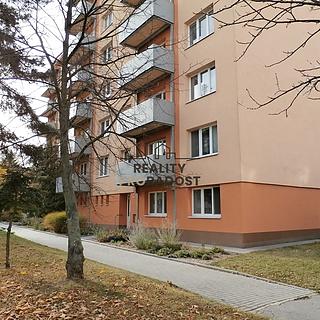 Pronájem bytu 1+kk a garsoniéry 20 m² Znojmo, Pražská sídl.