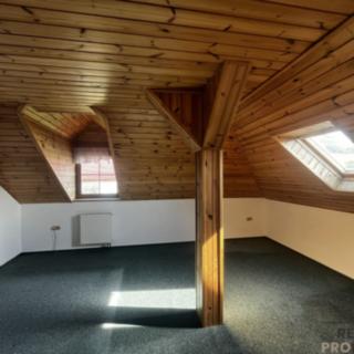 Prodej ostatního komerčního prostoru 350 m² Podhradní Lhota