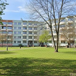 Pronájem bytu 1+kk a garsoniéry 22 m² České Budějovice 3, Plzeňská