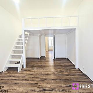 Pronájem bytu 1+1 46 m² Praha Nusle, Boleslavova