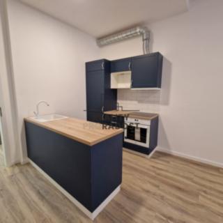 Pronájem bytu 1+kk a garsoniéry 45 m² Brno Veveří, Antonínská