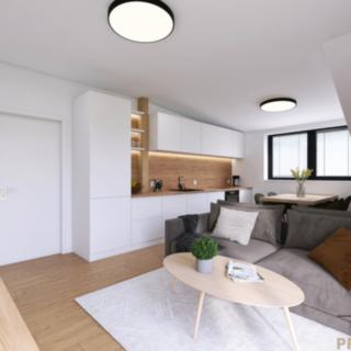 Prodej bytu 3+kk 60 m² Horní Planá