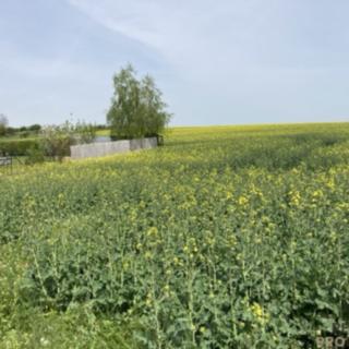 Prodej stavební parcely 800 m² Plenkovice