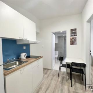 Pronájem bytu 2+1 32 m² Brno Staré, Mendlovo náměstí