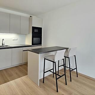 Pronájem bytu 1+kk, garsoniery 33 m&sup2; Praha