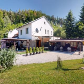 Prodej hotelu a penzionu 600 m² Zábřeh Dolní Bušínov