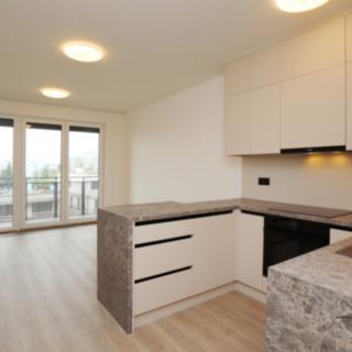 Pronájem bytu 1+kk, garsoniery 38 m² Praha