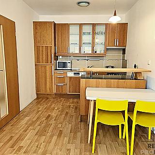 Pronájem bytu 2+kk 53 m² Brno Lesná, Haškova
