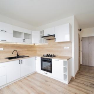 Pronájem bytu 1+1 41 m² Ostrava Moravská, Josefa Brabce