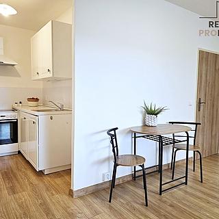 Pronájem bytu 2+kk 46 m² Brno Bohunice, Moldavská