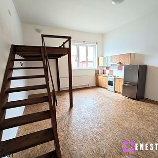 Pronájem bytu 1+kk, garsoniery 42 m² Tursko