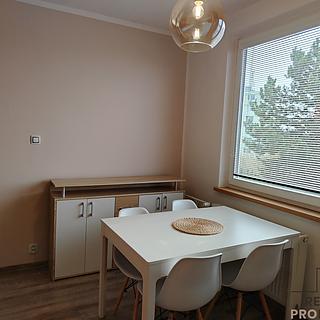 Pronájem bytu 1+1 33 m² Znojmo, Dukelských bojovníků