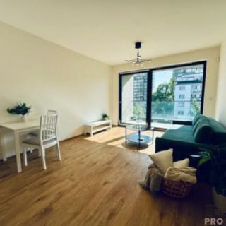 Pronájem bytu 1+kk a garsoniéry 33 m² Praha Žižkov, Tetauerova