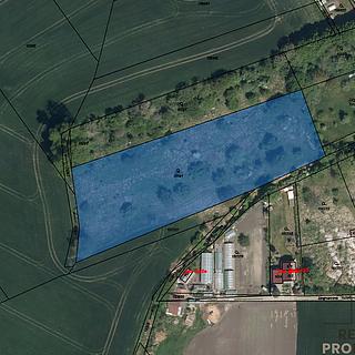 Prodej stavební parcely 11500 m² Dašice