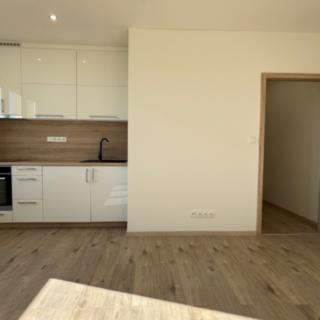 Prodej bytu 1+kk a garsoniéry 23 m² Havířov Podlesí, Elišky Krásnohorské