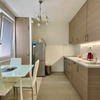Pronájem bytu 1+1 33 m² Brno