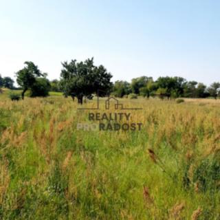 Prodej stavební parcely 2 355 m² Lužice