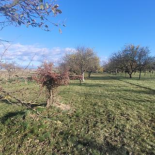 Prodej zahrady 1 909 m² Bochoř