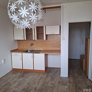 Pronájem bytu 1+kk a garsoniéry 20 m² Děčín II-Nové Město, Kamenická