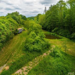 Prodej ostatního pozemku 6 531 m² Svinošice