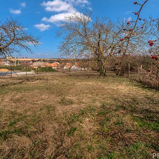 Prodej stavební parcely 1 000 m² Skalice