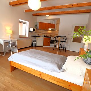 Pronájem bytu 1+kk a garsoniéry 33 m² Brno Bosonohy, Pražská