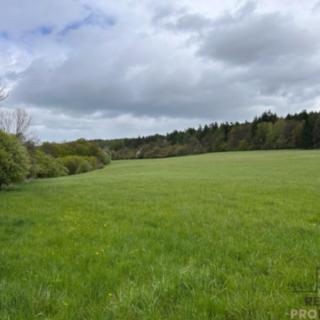 Prodej zemědělské usedlosti 895 m² Jivina