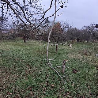 Prodej stavební parcely 1 193 m² Brodek u Přerova